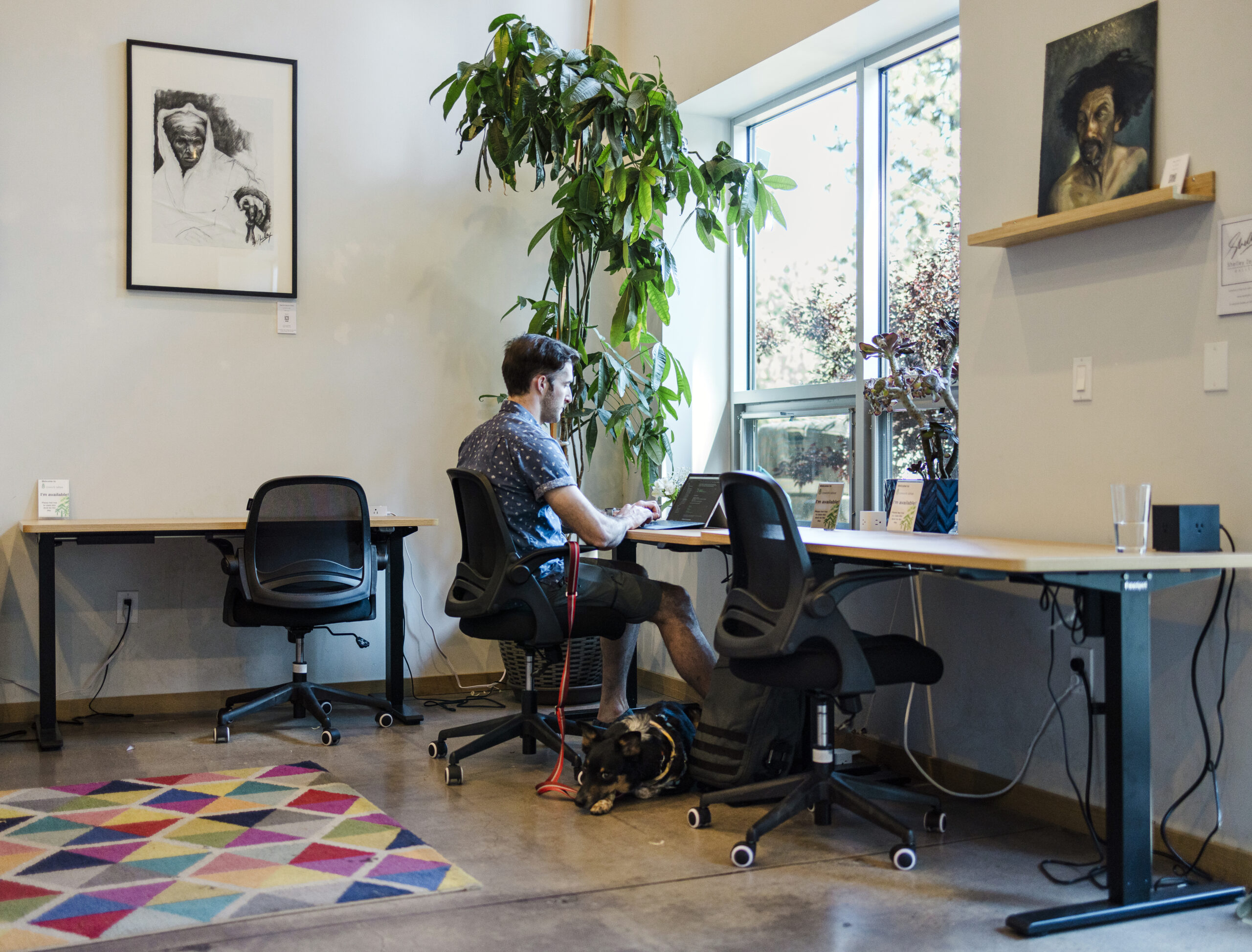 Cowork2024-053 A 30-something white male works at a desk on his laptop with a cute black dog at his feet in a sunny daylit workspace